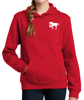 The "Paddington" Hoodie (For Young Jacks & Jennies)