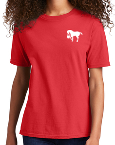 The "Elliott" T-Shirt (For young Jacks & Jennies)